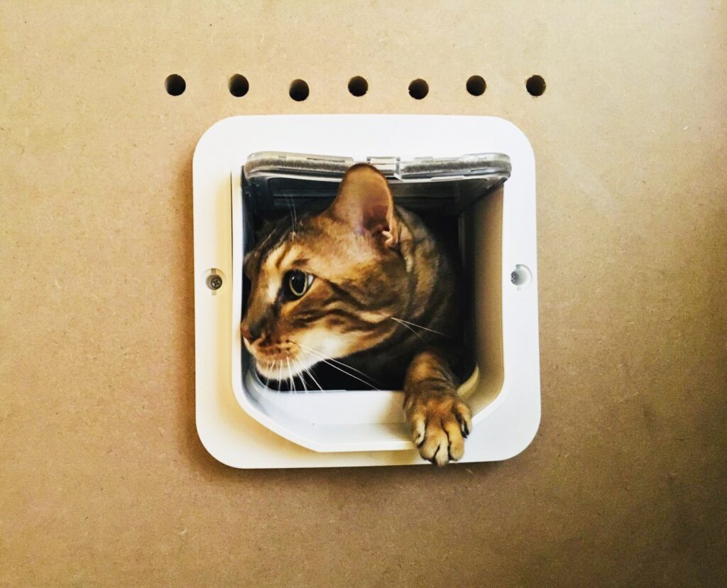 Smart Security for Your Pet: Why Microchip Doors are the Ultimate Hack for Cabin Trips