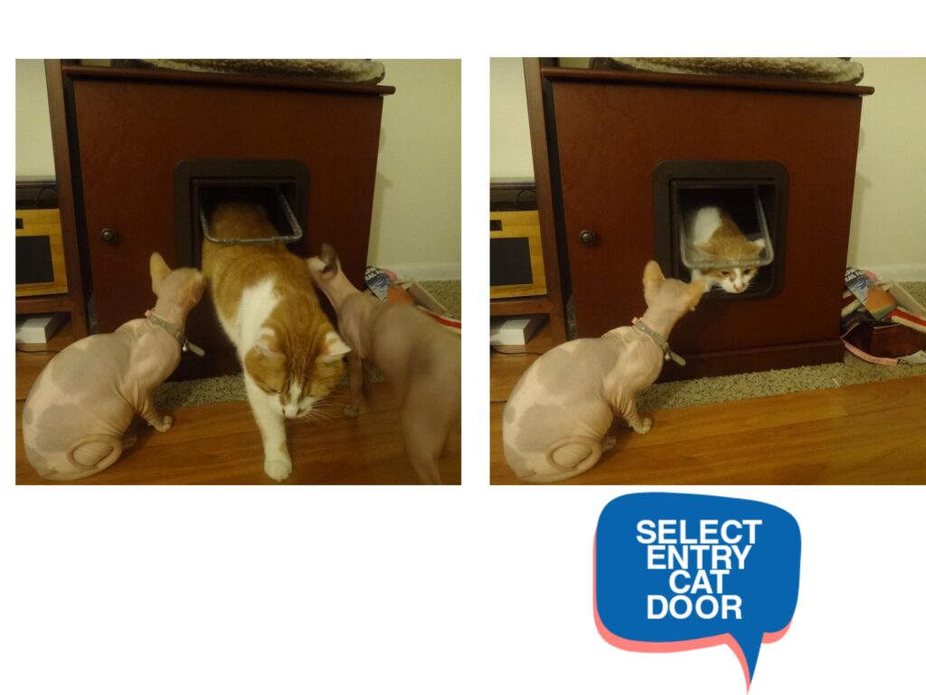 Smart Security for Your Pet: Why Microchip Doors are the Ultimate Hack for Cabin Trips