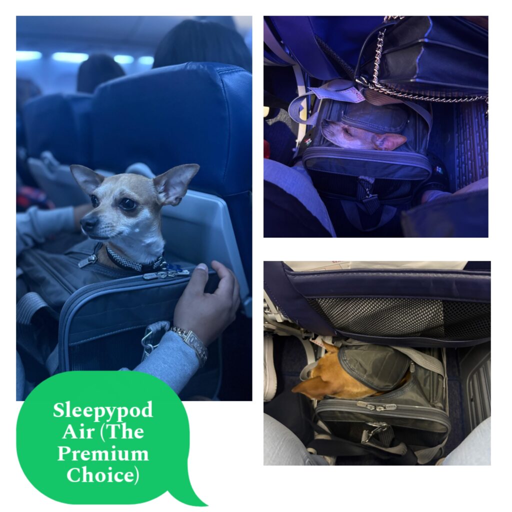Sleepypod Air