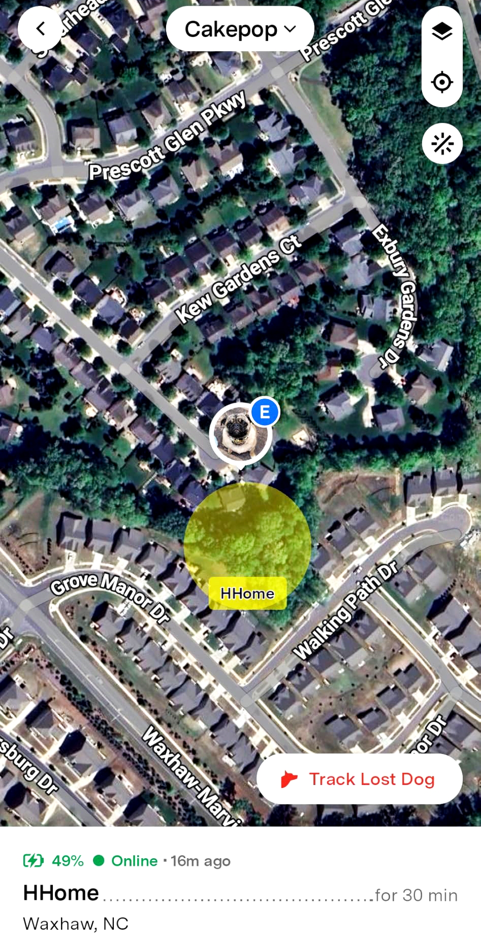 Fi Series 3 Smart Collar