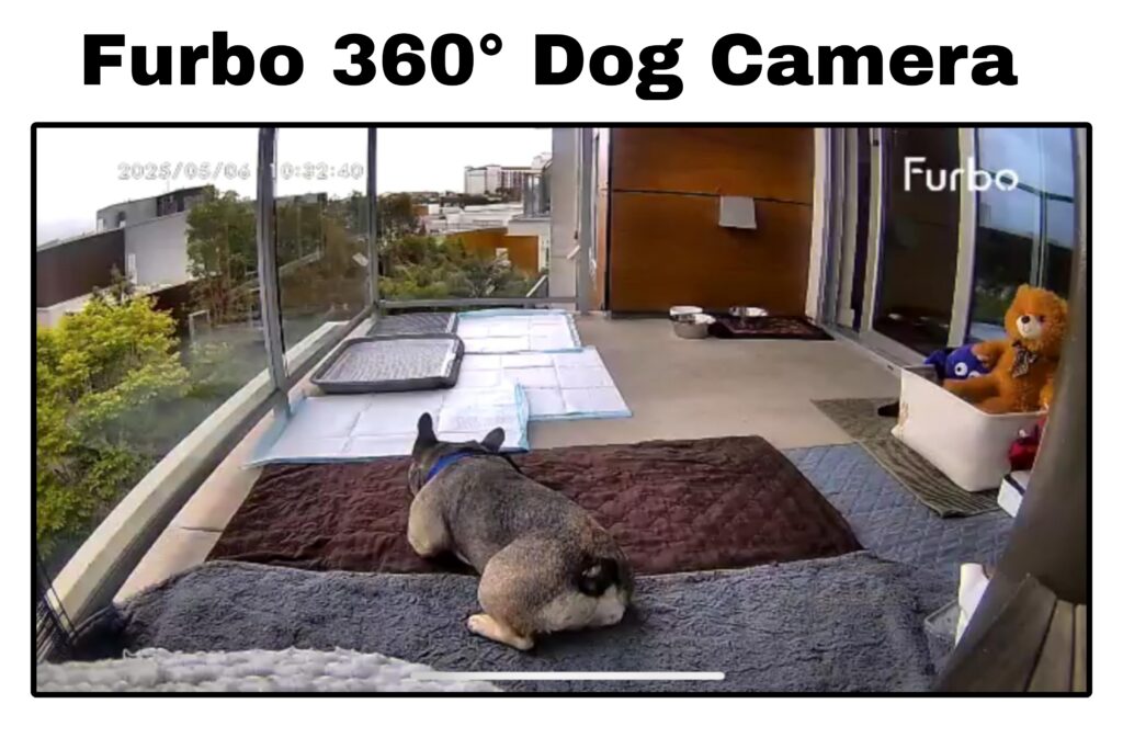 Furbo 360° Dog Camera