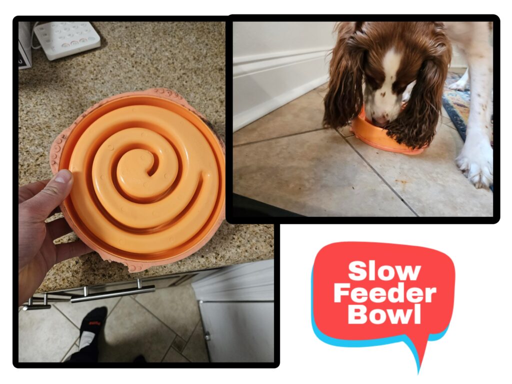 Stop the Gulp: How a Slow Feeder Bowl Can Prevent Deadly Bloat in Your Dog