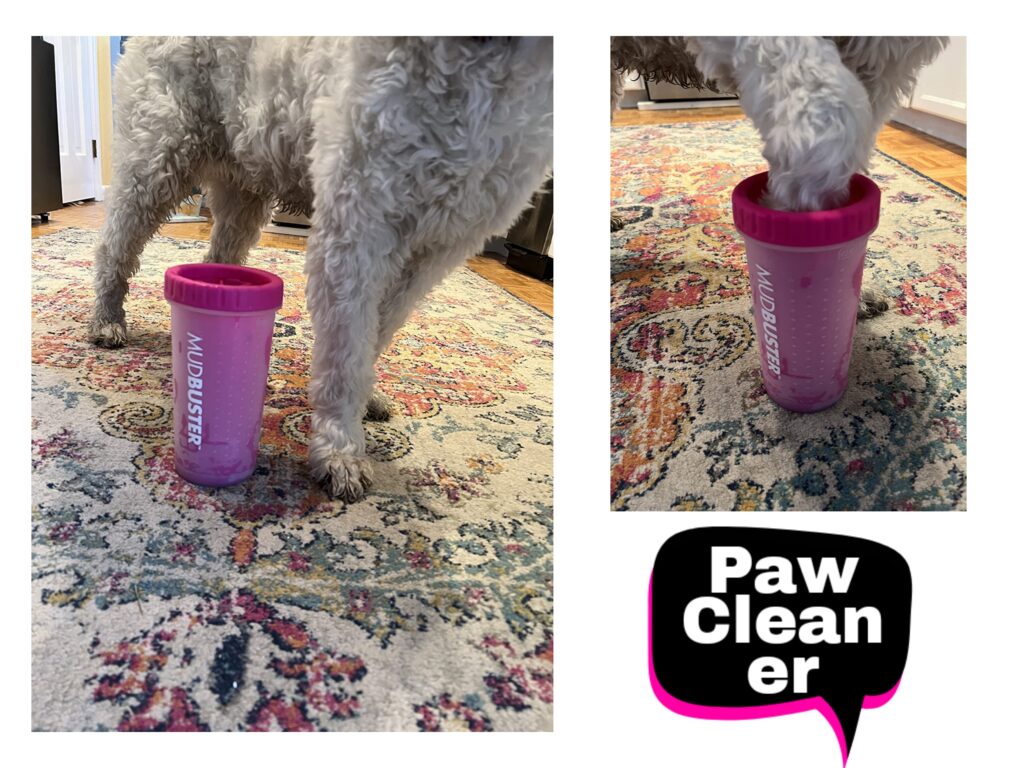 Say Goodbye to Muddy Floors: Is the Dexas MudBuster Actually Worth $20?