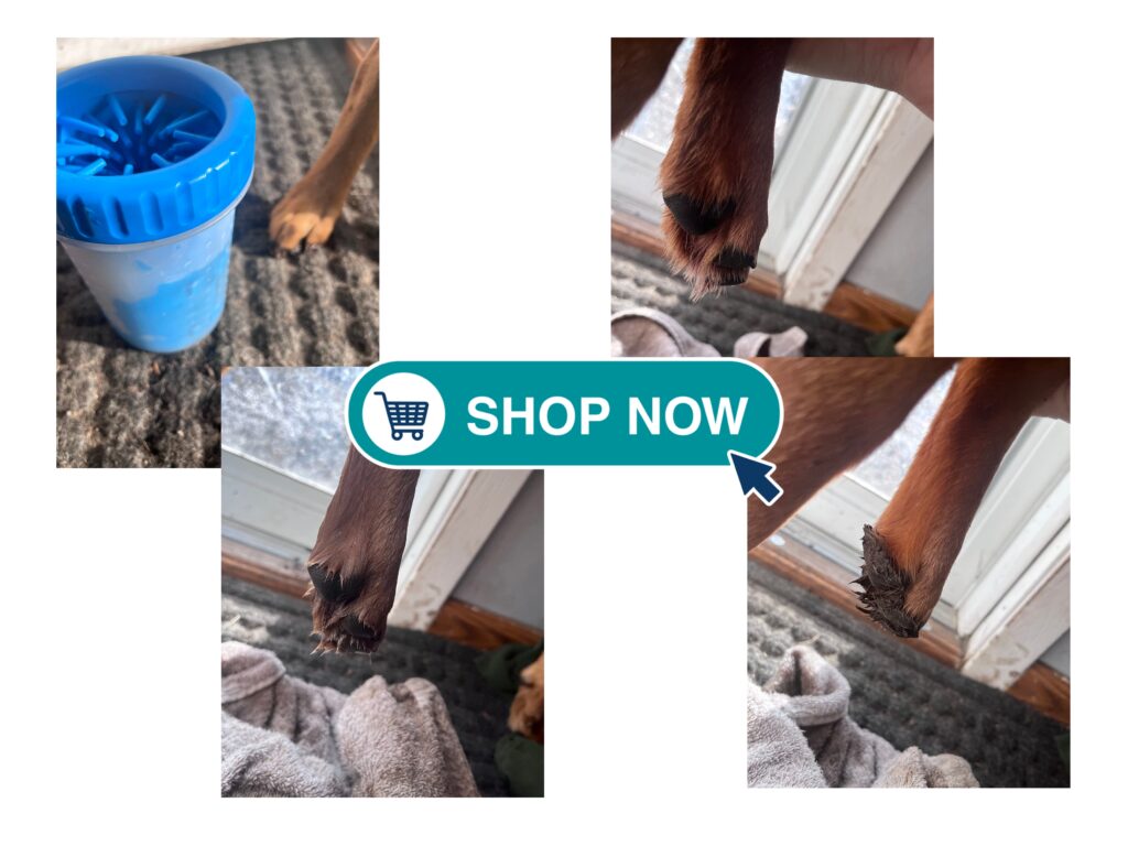 Say Goodbye to Muddy Floors: Is the Dexas MudBuster Actually Worth $20?