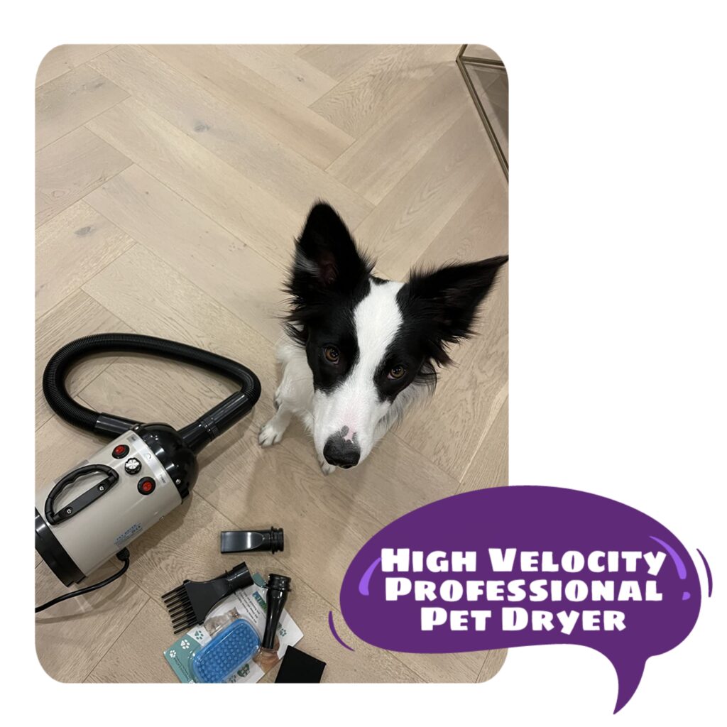 I Tested 3 Portable High-Velocity Pet Dryers on a Soaking Wet Lab: The 2026 Survival Guide