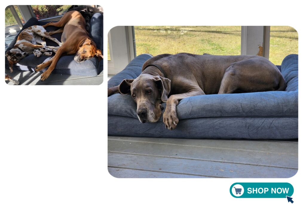 Furhaven Cooling Gel Bed on Amazon