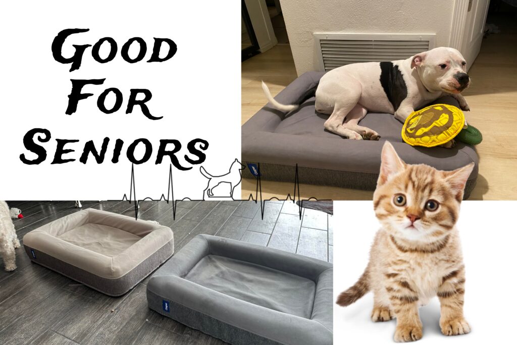 Casper Dog Bed, Plush Memory Foam, Large, Blue, 35.0"L x 45.0"W x 7.0"Th