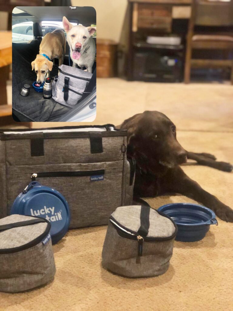 Weekender pet travel kit.