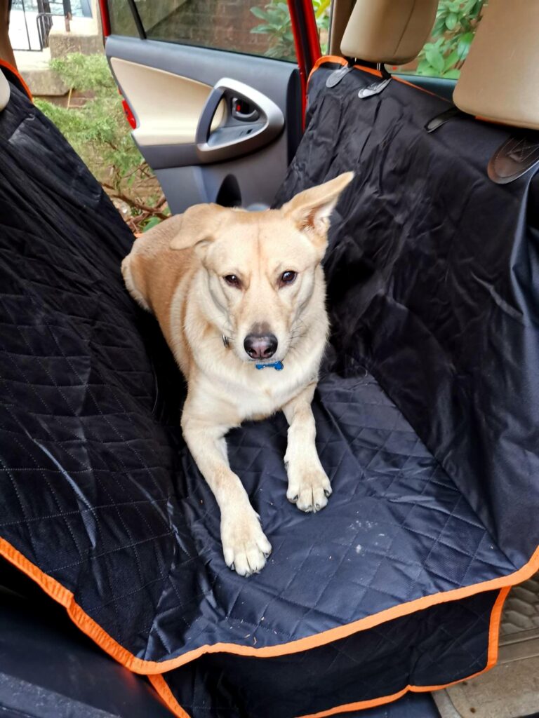 Active Pets Dog Car Seat Cover (Hammock Style)