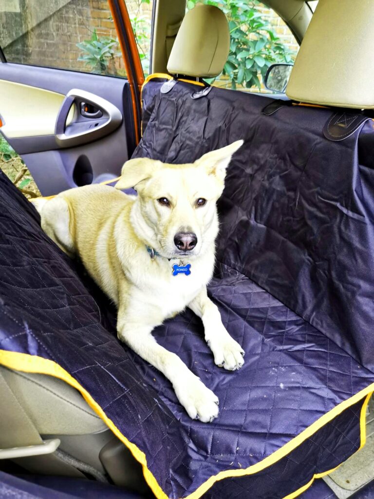 Active Pets Dog Car Seat Cover (Hammock Style)