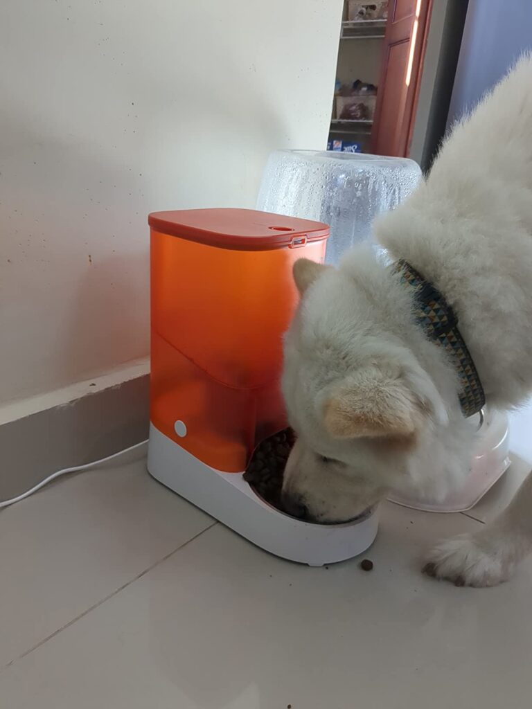 Digital Scale Bowl: The Health Tracker You Actually Need