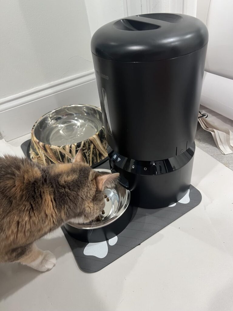 Automatic Feeding: WOPET Smart Feeder