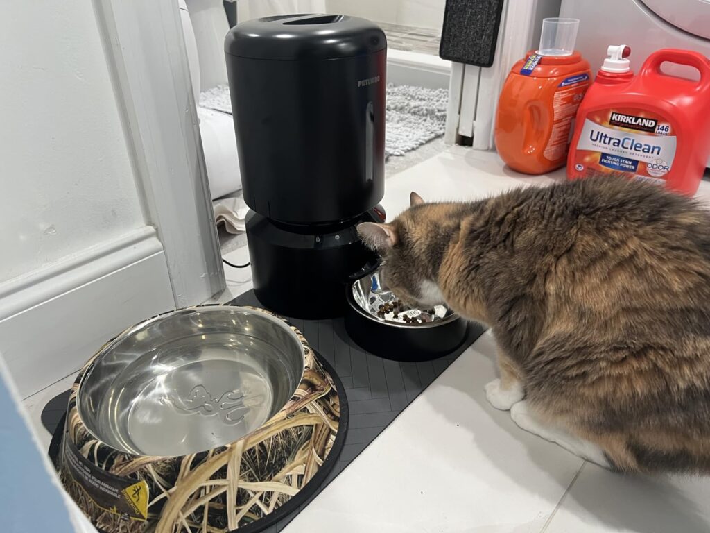 Automatic Feeding: WOPET Smart Feeder