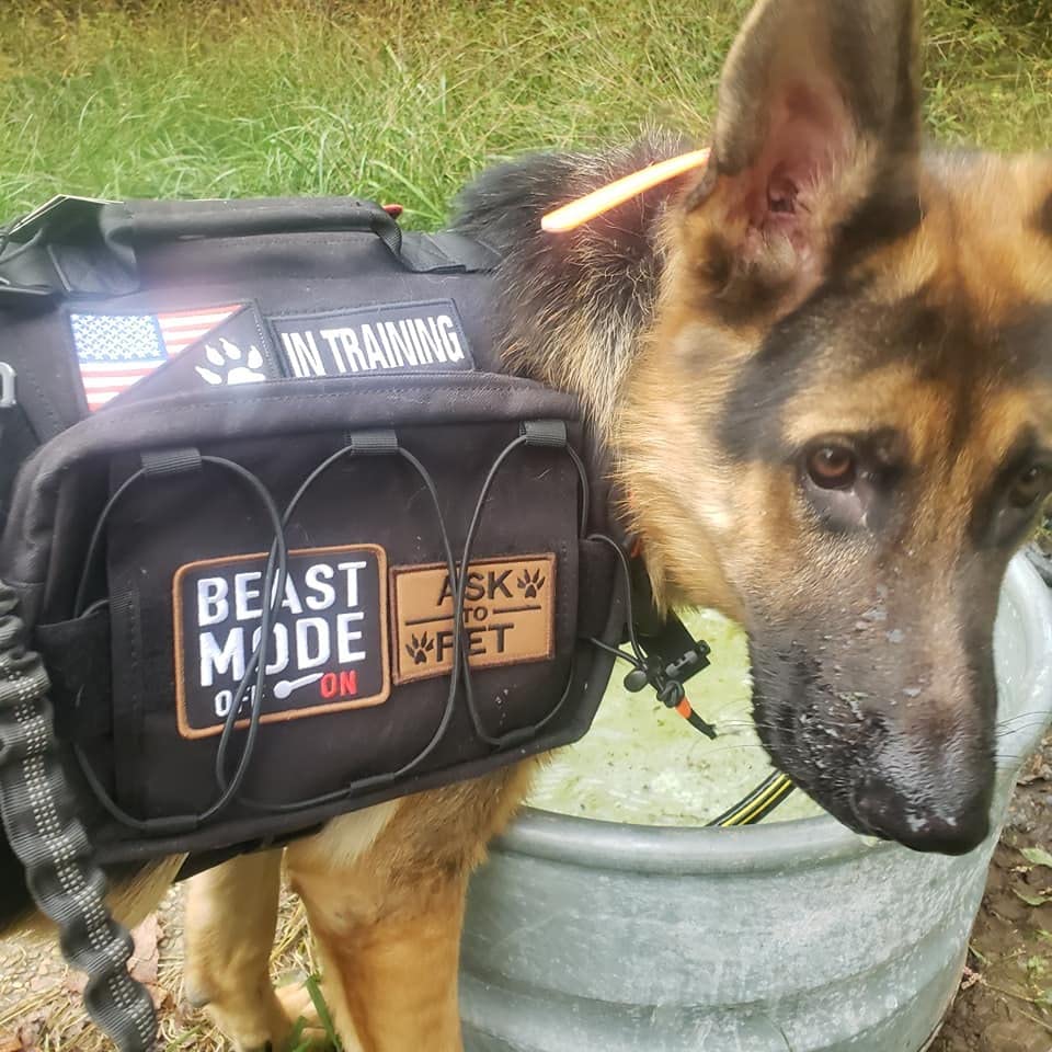 SportDOG Brand NoBark