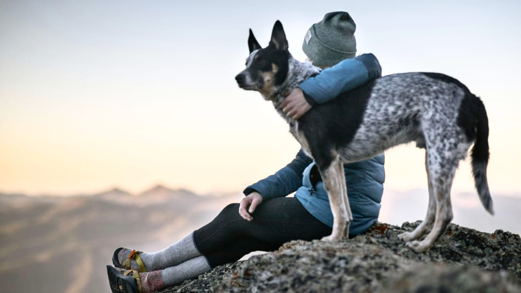 How Much Does It Really Cost to Own a Dog in the US? Monthly & Yearly Breakdown