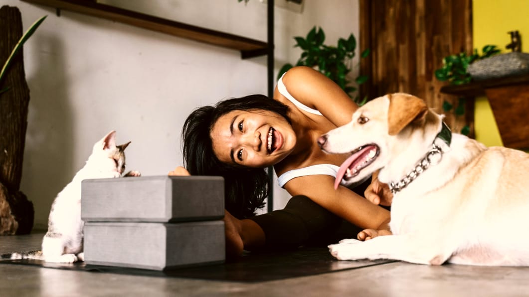 Average Vet Visit Cost in the USA: What Every Pet Owner Should Know Before Going