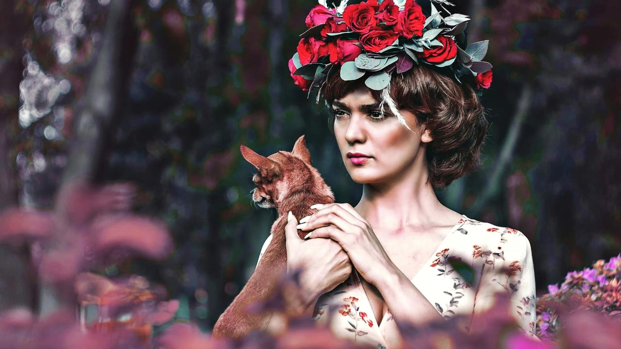 Low-Cost Vet Clinics in the USA: How Pet Owners Can Save Money on Quality Care