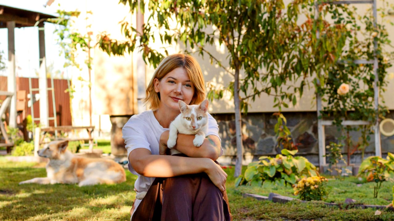 Best Dog Breeds for Families in the USA: How to Choose the Right Family Dog