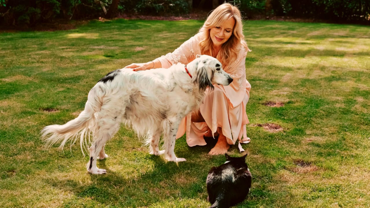 Pet Insurance in the USA: How to Choose the Right Plan for Your Dog or Cat