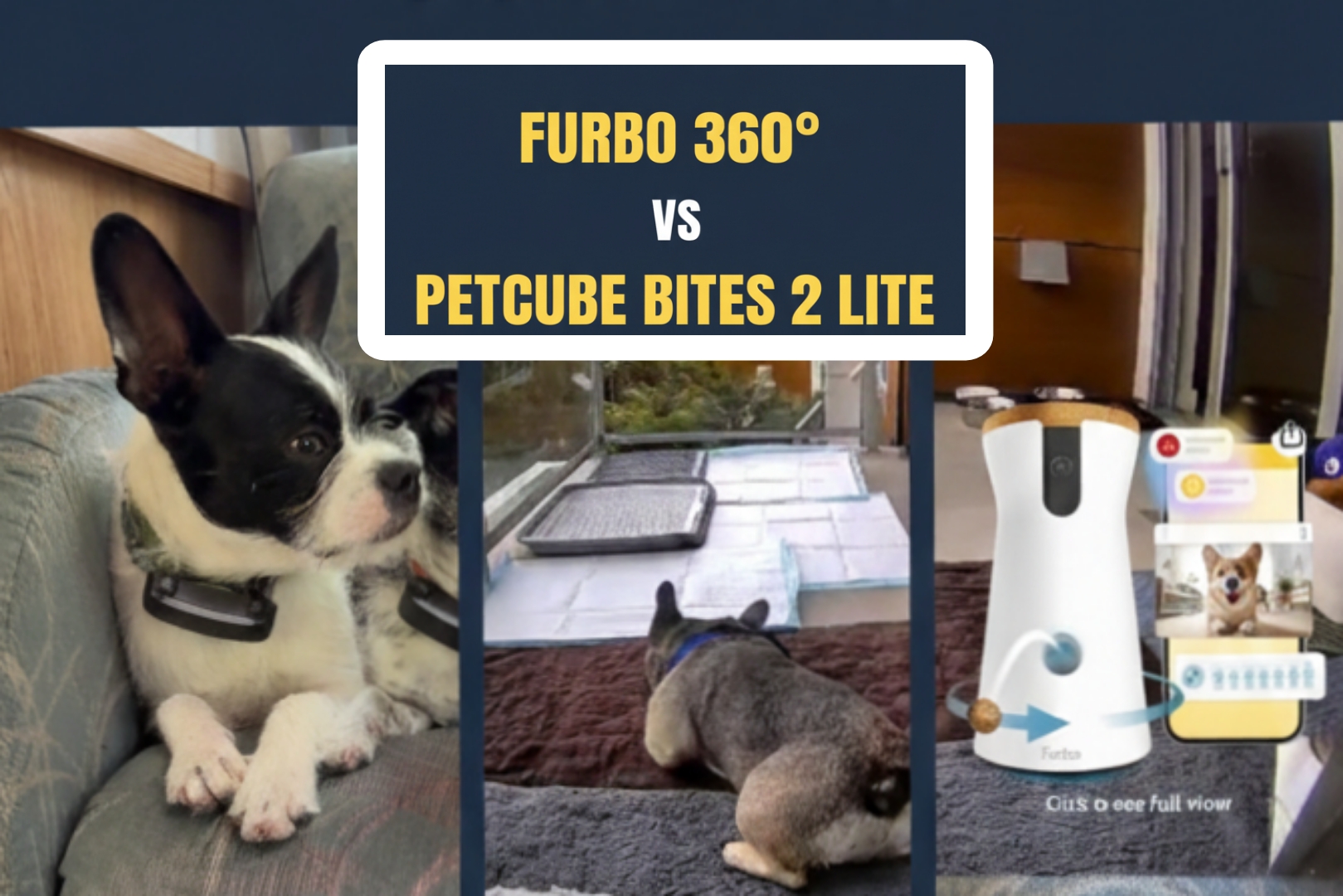 Furbo vs. Petcube: Which Treat-Tossing Camera Wins in 2026?