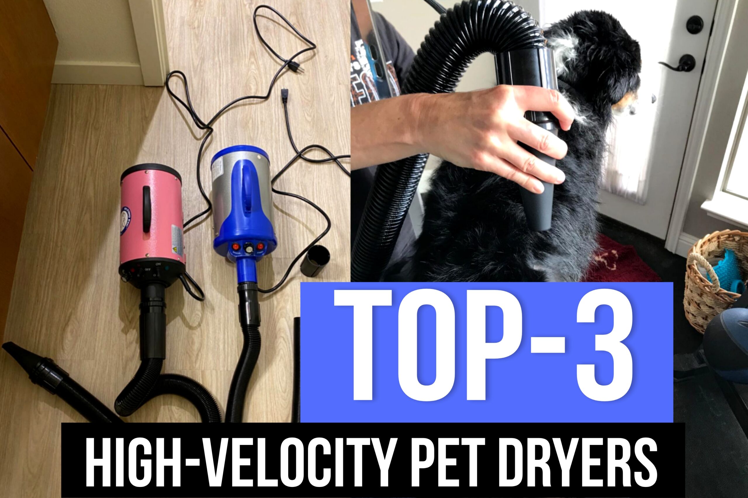 I Tested 3 Portable High-Velocity Pet Dryers on a Soaking Wet Lab: The 2026 Survival Guide