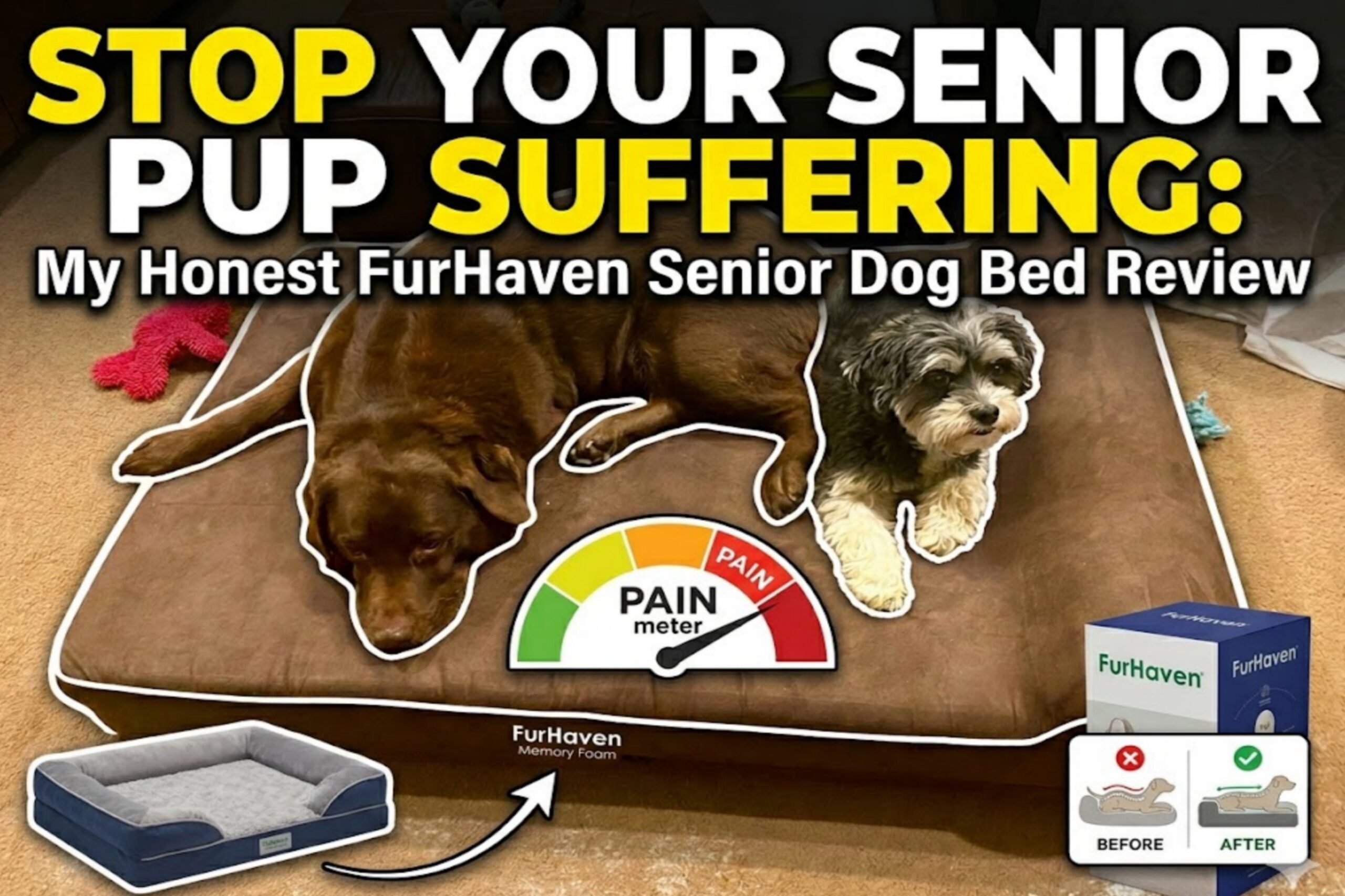 My Honest Memory Foam Dog Bed For Older Dogs Review