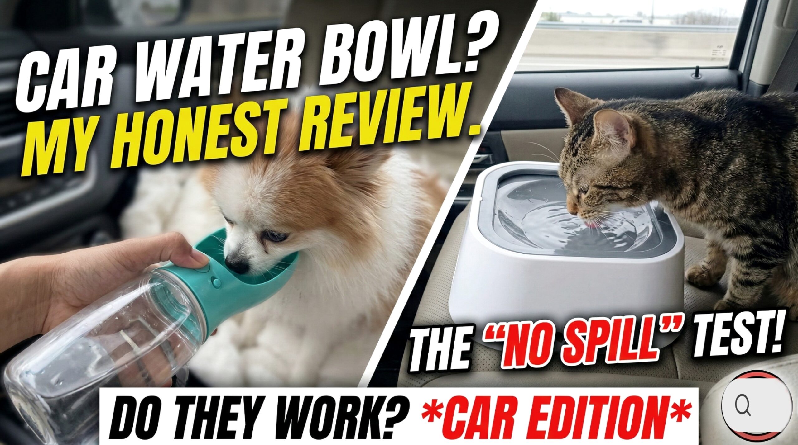 No spill dog water bowl for car (My honest review of those "no spill" dog bowls)