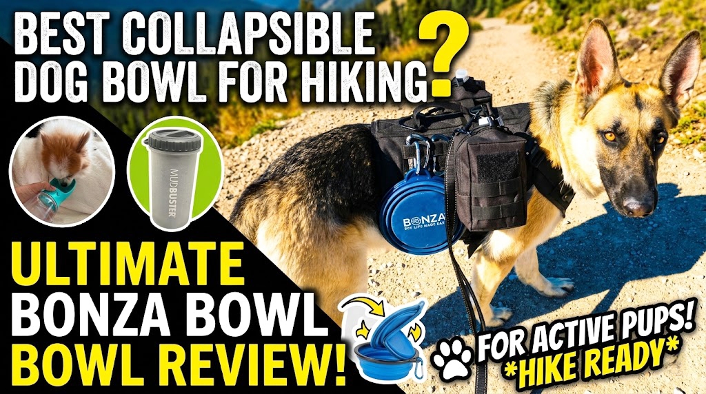 Best collapsible dog bowl for hiking