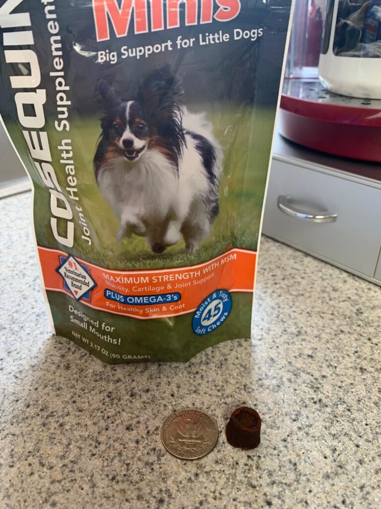 Heavy duty dog ramp for large dogs getting into cars