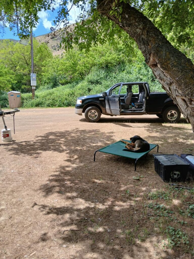 Why I Switched to an Elevated Cooling Bed (The Zero-Gravity Setup)