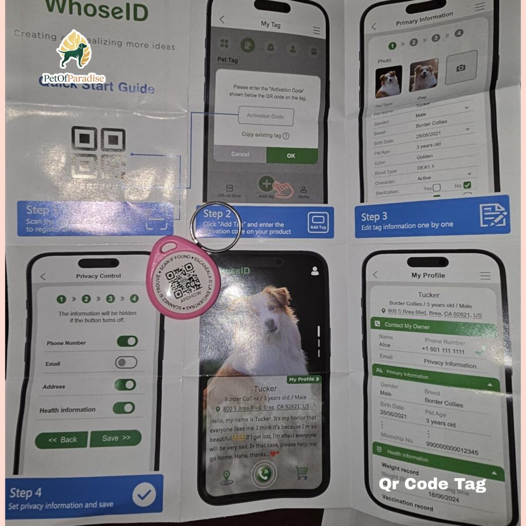 Top Digital QR Code Pet ID Tags I’ve Tested