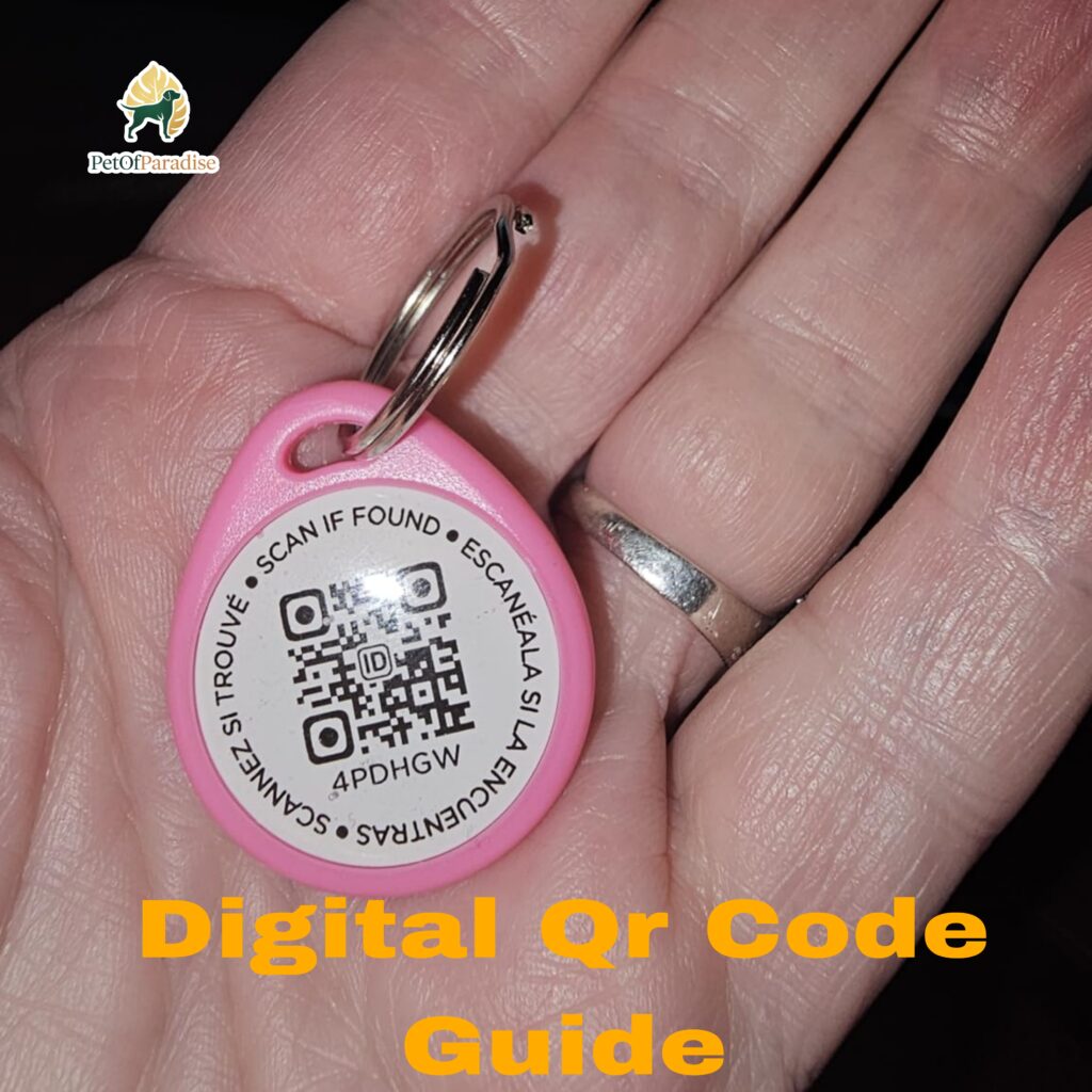 Top Digital QR Code Pet ID Tags I’ve Tested