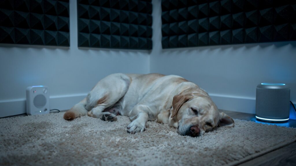 Acoustic Foam Panels